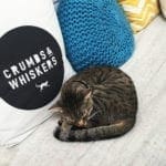 Crumbs & Whiskers Cat Cafe