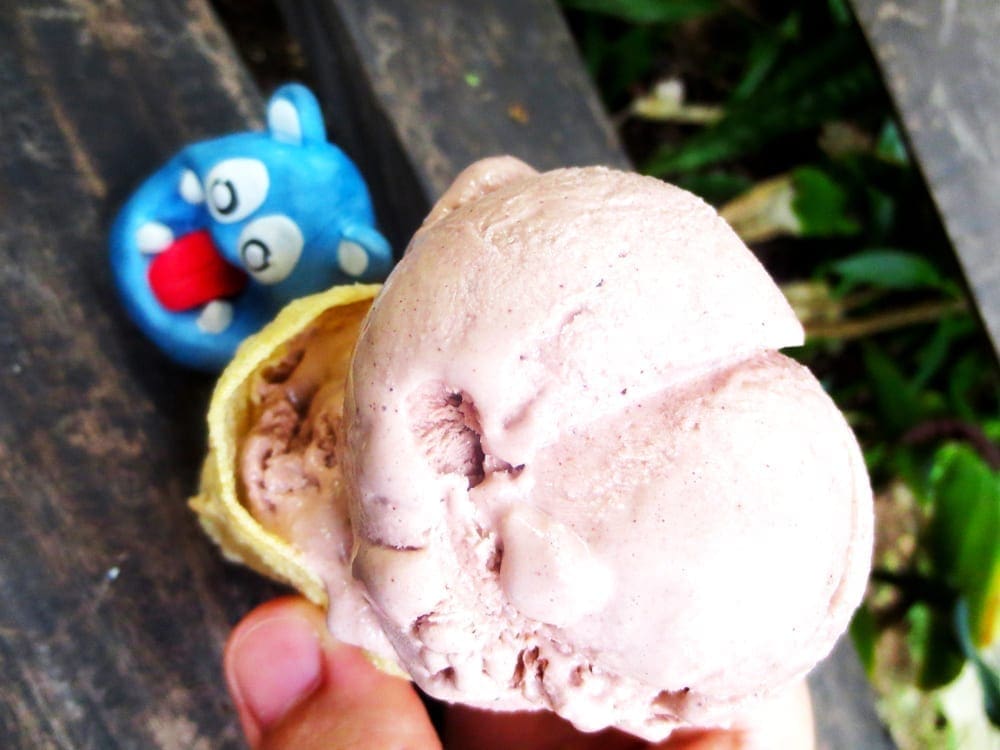Chocolate & Honey Ice Cream from Bohol Bee Farm Bohol Philippines