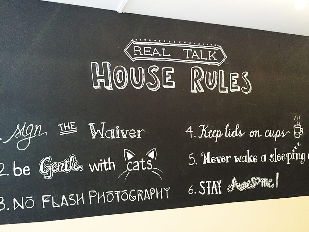 House Rules Crumbs & Whiskers Cat Cafe